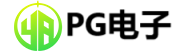 PG（中國(guó)電子）股份有限公司